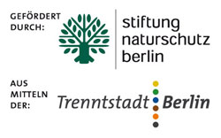 Logo_Trenntstadt_2010