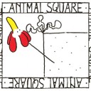 animalsquare