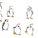 colouredpenguins