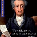 meister1